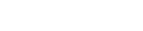 AI disclaimer